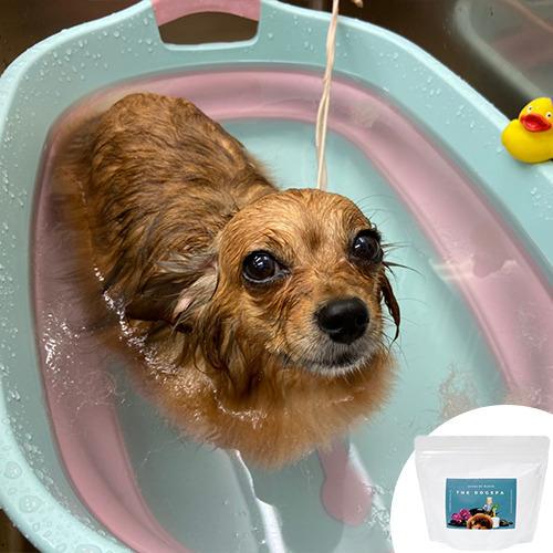 犬 入浴剤 水素浴 無香料 無着色 スキンケア 被毛 保湿 お風呂でマーチ 500g ディーシーコンフォート 通販 Yahoo ショッピング