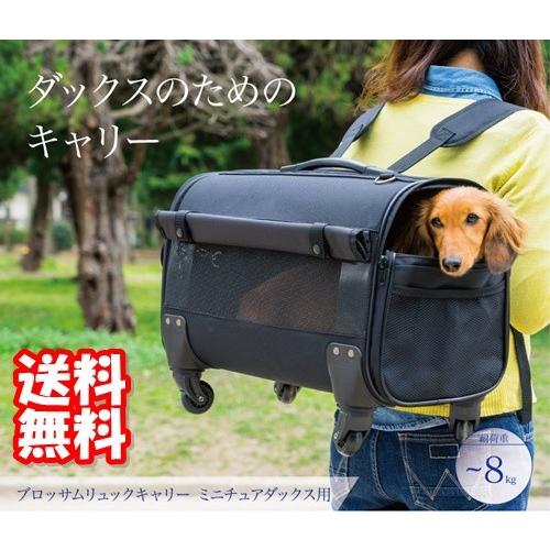 美品♡ミニチュアダックス用 ブロッサムリュックキャリー♡