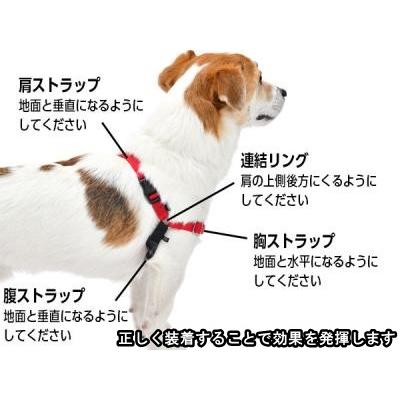 PetSafe 犬 引っ張り防止 ハーネス 胴輪 かわいい ペットセーフ