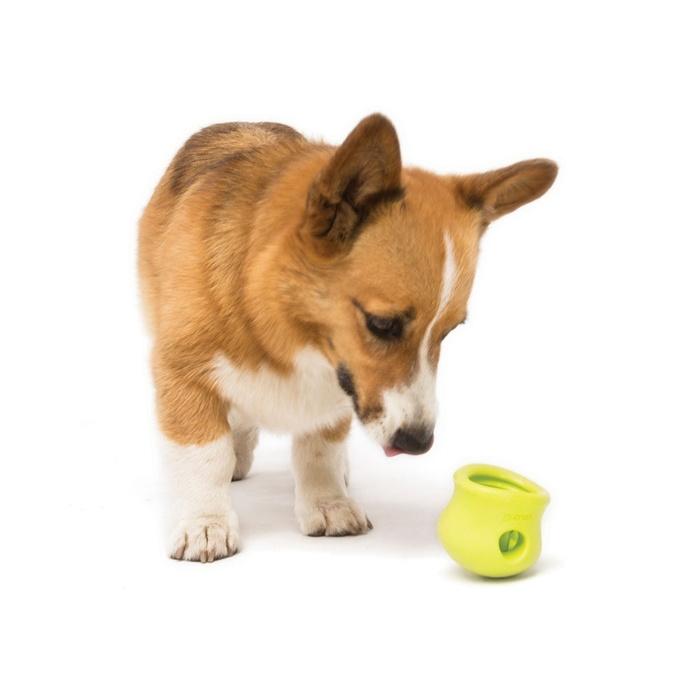 犬 知育玩具 おやつ フード West Paw ゾゴフレックス タップル Lサイズ