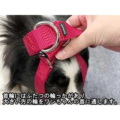 PetSafe 犬 首輪 小型犬 お散歩 しつけ ハーフチョーク マーチンゲール