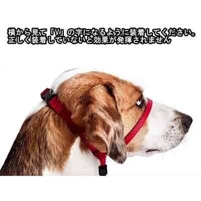 PetSafe ジェントルリーダー ヘッドカラー 引っ張り防止 大型犬 しつけ