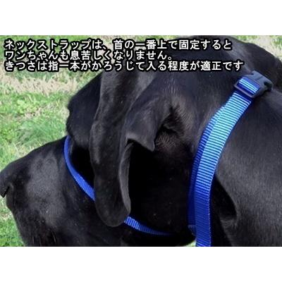 PetSafe ジェントルリーダー ヘッドカラー 引っ張り防止 大型犬 しつけ