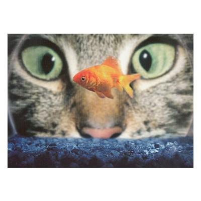 ポストカード 動物 金魚を見つめるねこ ドアップ Heart Animal 8 l Pictorial Network 通販 Yahoo ショッピング