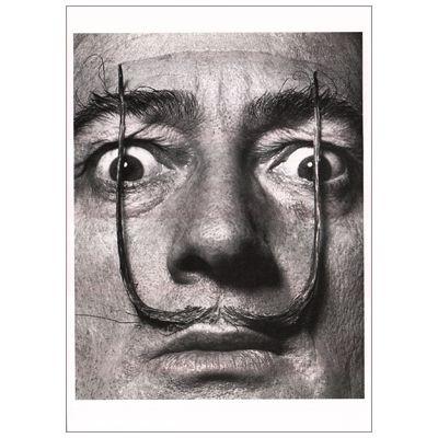 ポストカード アート サルバドール ダリ Salvador Dali Photo By Phillippe Halsman 1954 Training Art 704 l Pictorial Network 通販 Yahoo ショッピング