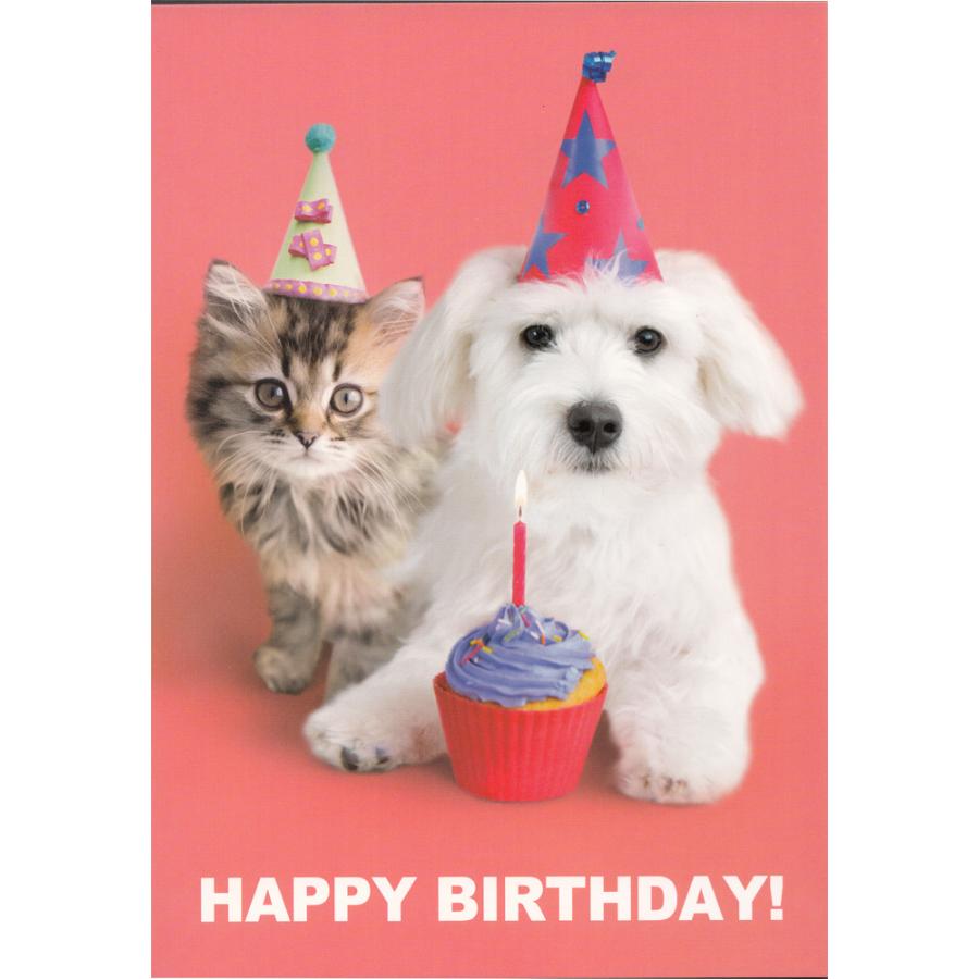 ポストカード バースデー 犬とねこ Happy Birthday Heart 137 l Pictorial Network 通販 Yahoo ショッピング