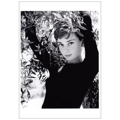 ポストカード 映画 スター オードリーヘップバーン Audrey Hepburn オリーブの枝 Spanishmoon Foto Pcf947 Cinema 564 l Pictorial Network 通販 Yahoo ショッピング