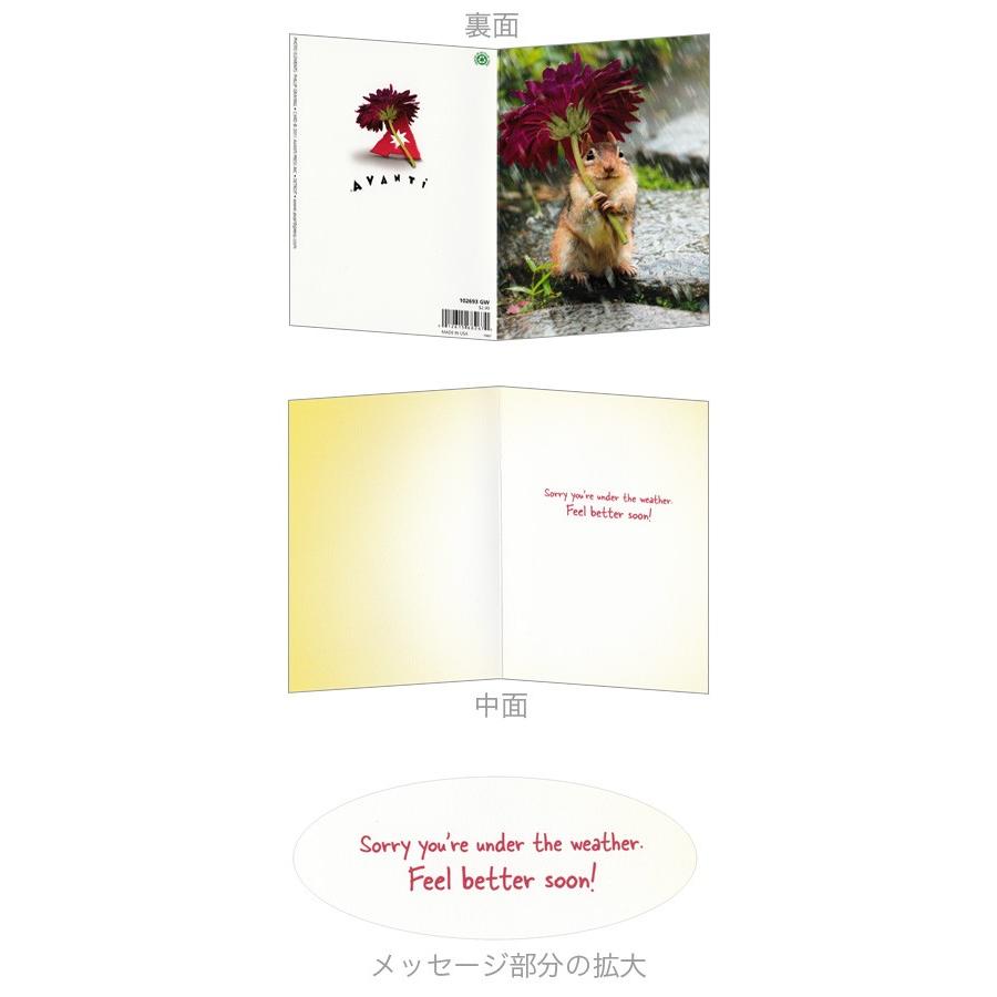 グリーティングカード お見舞い お花の傘をさしたリス Paper 0594 G All 073 l Pictorial Network 通販 Yahoo ショッピング