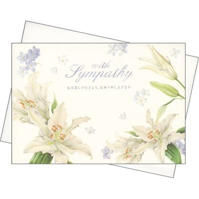 再入荷 予約販売 グリーティングカード お悔やみ Sympathy 百合 お力落しのなきよう お祈り