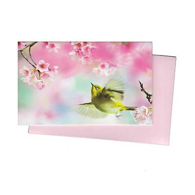 ミニカード 多目的 はばたく春の鳥 Paper 2221 G All 494 l Pictorial Network 通販 Yahoo ショッピング