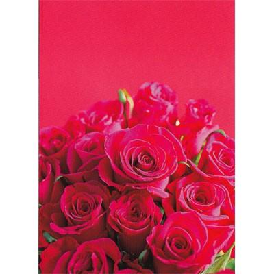 ポストカード お花 赤いバラの花束 Heart Hana 024 l Pictorial Network 通販 Yahoo ショッピング