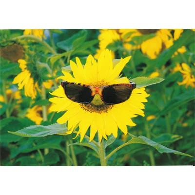 ポストカード お花 サングラスとひまわり Paper C 9331 Hana 124 l Pictorial Network 通販 Yahoo ショッピング