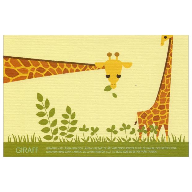 ポストカード イラスト キリン Crackle Ill 17 l Pictorial Network 通販 Yahoo ショッピング