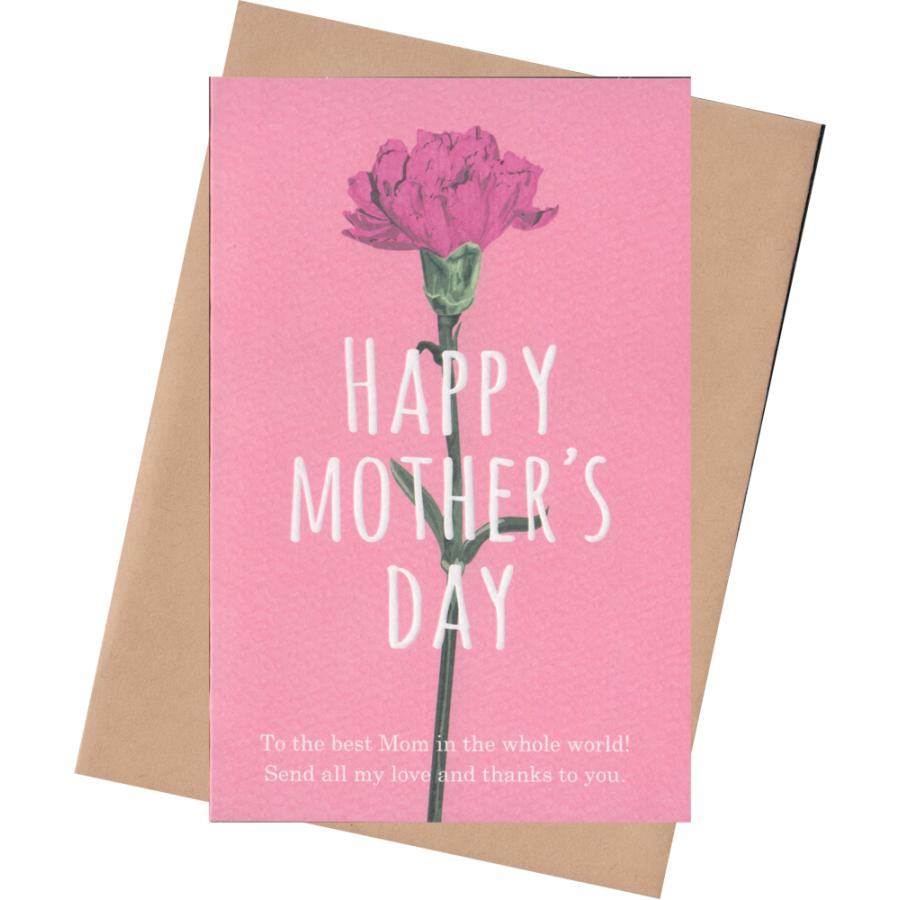 グリーティングカード 母の日 1本のカーネーション Happy Mother S Day Ot Mom 93 l Pictorial Network 通販 Yahoo ショッピング