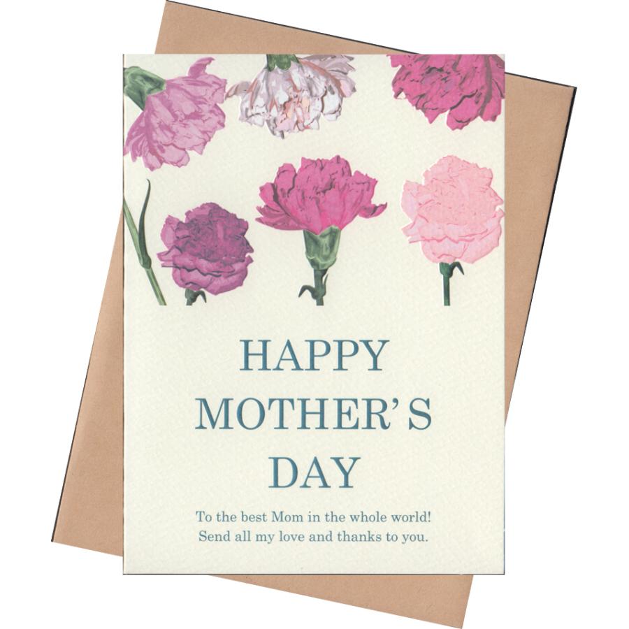 グリーティングカード 母の日 6本のカーネーション Happy Mother S Day Ot Mom 94 l Pictorial Network 通販 Yahoo ショッピング