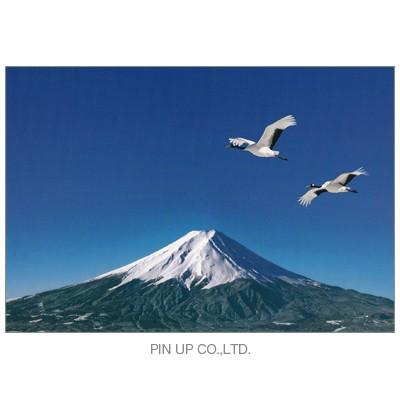 ポストカード富士山と鶴2羽 Pin Fj190 Hbpscs Com Br