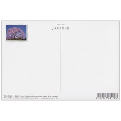 ポストカード 風景 哲学の道と桜並木 京都府 Koubou Pt 052 Scene 425 l Pictorial Network 通販 Yahoo ショッピング