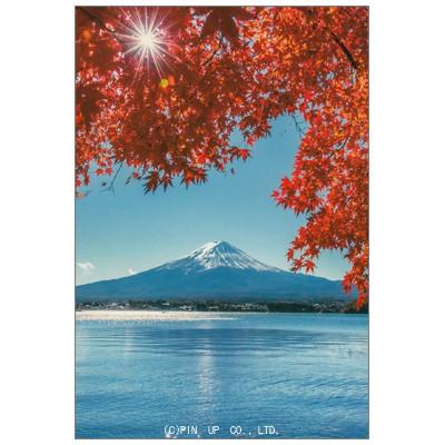 ポストカード 風景 富士山 紅葉 光 Pin Fj1 Scene 623 l Pictorial Network 通販 Yahoo ショッピング