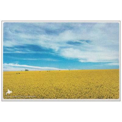 ポストカード 風景 日本の絶景 春 たきかわ菜の花まつり 北海道 Iroha Scene 653 l Pictorial Network 通販 Yahoo ショッピング