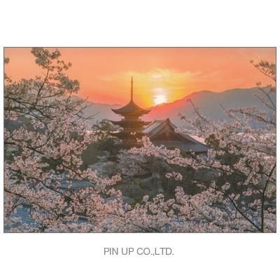 ポストカード 風景 厳島神社 桜と夕日 Pin Ha18 Scene 663 l Pictorial Network 通販 Yahoo ショッピング