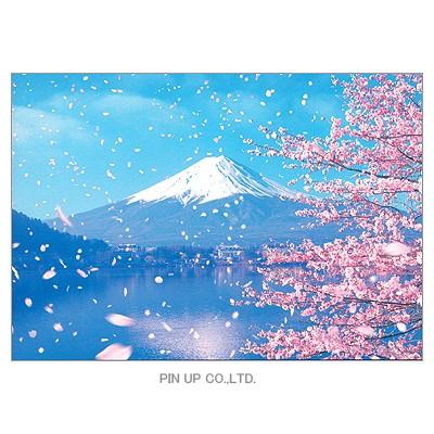ポストカード 風景 桜吹雪と富士山 横向き Pin Fj8 Scene 693 l Pictorial Network 通販 Yahoo ショッピング