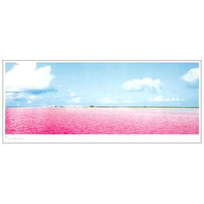 パノラマポストカード 風景 世界の絶景 ピンクラグーン メキシコ Iroha Scene 711 l Pictorial Network 通販 Yahoo ショッピング