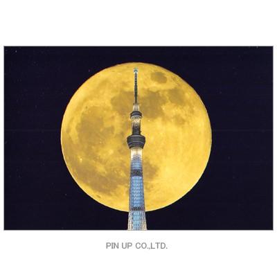 ポストカード 風景 東京スカイツリー 満月 Pin Ty9 Scene 722 l Pictorial Network 通販 Yahoo ショッピング
