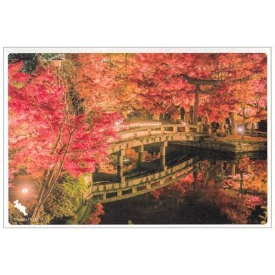 ポストカード 風景 日本の絶景 秋 永観堂 Iroha メール便なら送料無料 京都府