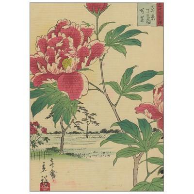 ポストカード 日本 和 安藤 歌川 広重 Ando Hiroshige 三十六花撰 東京百草園 芍薬 Training Wa 073 l Pictorial Network 通販 Yahoo ショッピング