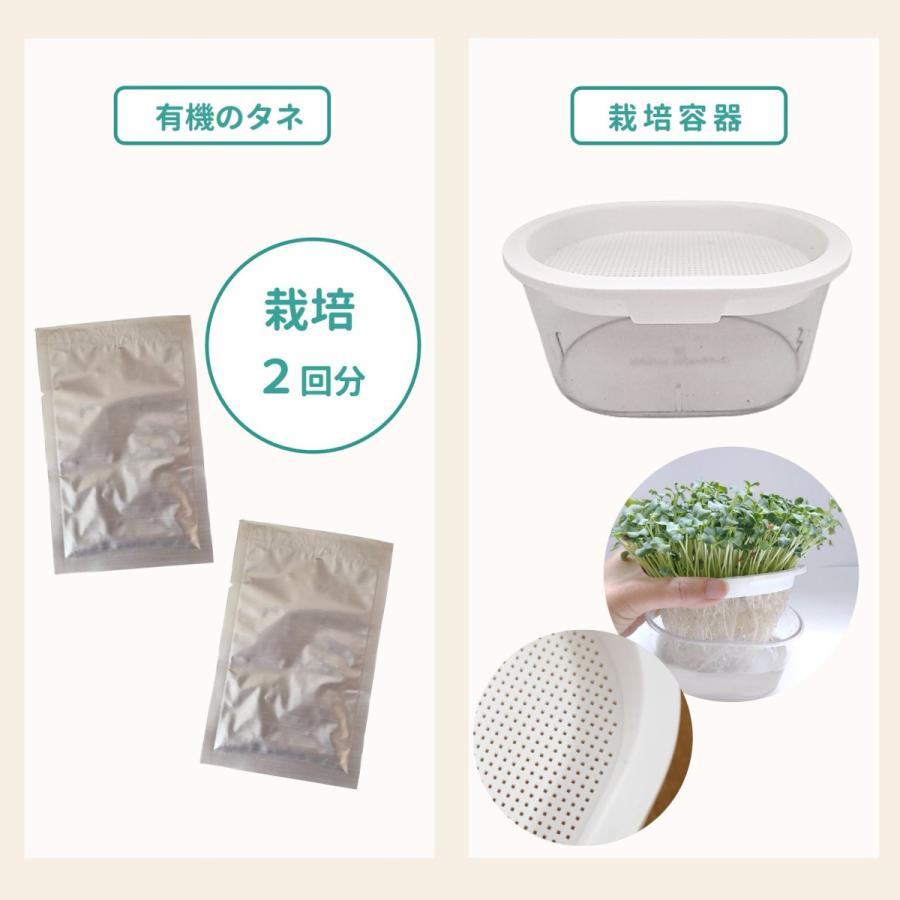 ブロッコリースプラウト グリーンフィールドプロジェクト 有機  栽培キット ホワイト 2袋入 園芸用品 ミニ盆栽 栽培キット 有機栽培 オンラインレッスン動画付 |  | 05