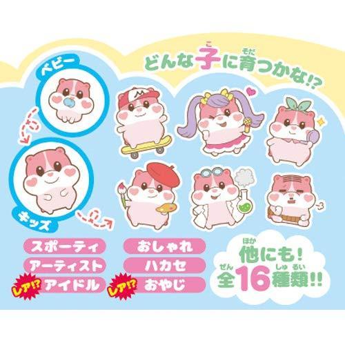 もっちまるず もっちりペット もっちまるず ベリー 92×95×55 もっちまるず ベリー