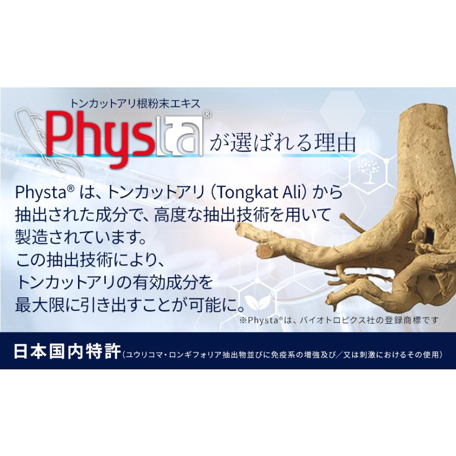 Be Energetic トンカットアリ アルギニン シトルリン 亜鉛 マカ テストステロン サプリ Physta 90カプセル 2袋セット GMP認定工場 国内 ビーエナジティック