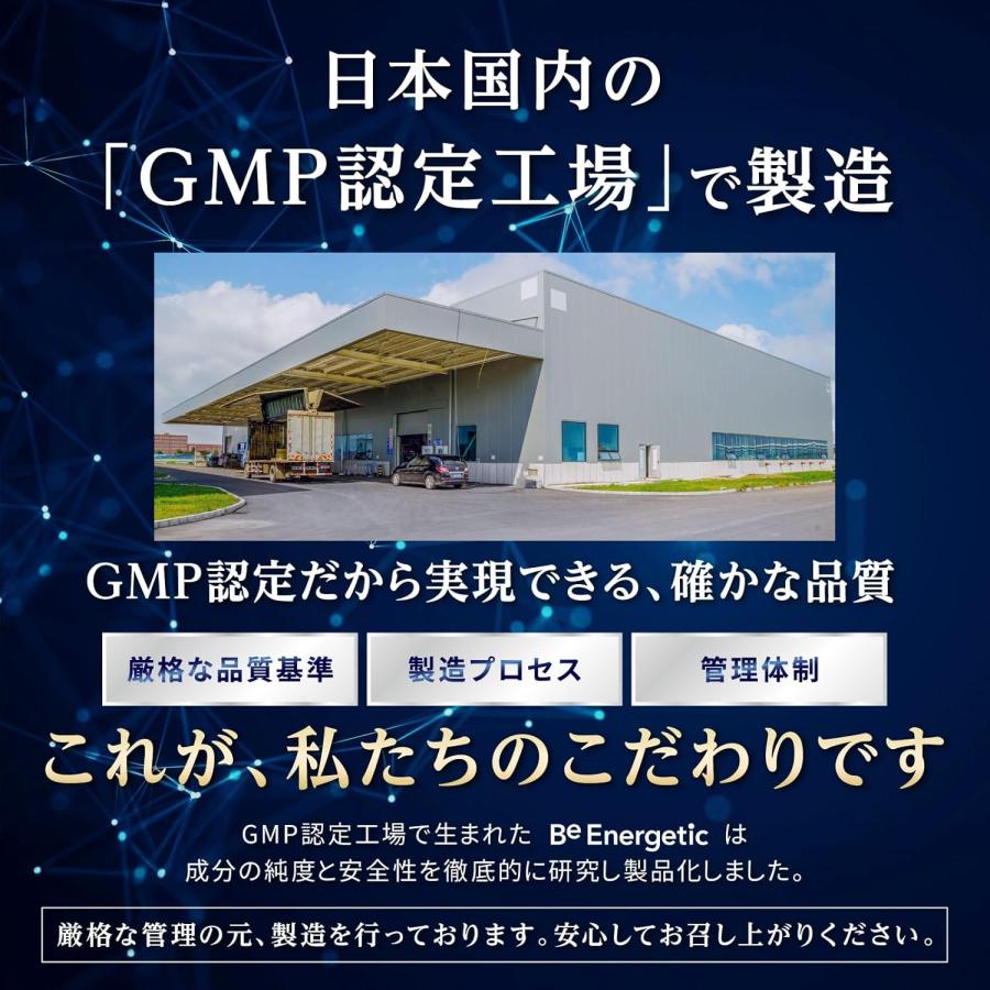 Be Energetic トンカットアリ アルギニン シトルリン 亜鉛 マカ テストステロン サプリ Physta 90カプセル 2袋セット GMP認定工場 国内 ビーエナジティック