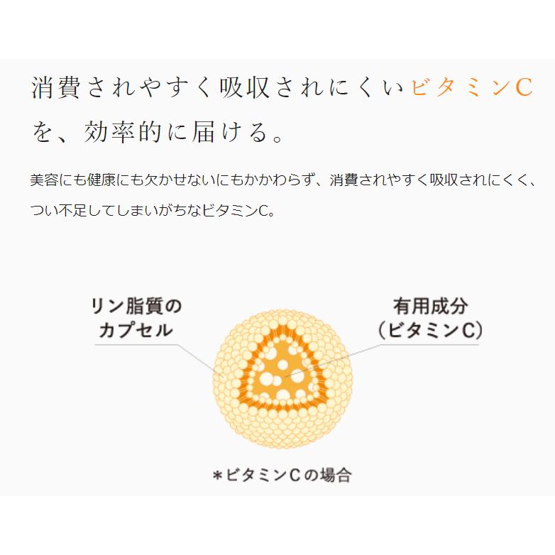 Lypo-C リポC リポカプセル ビタミンC リポソーム 30包入り 3箱セット 