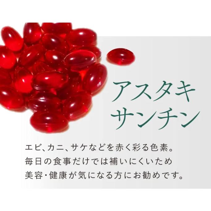 ワコナルビューティー プレミアム 1箱 100包 正規品 サプリメント 健康