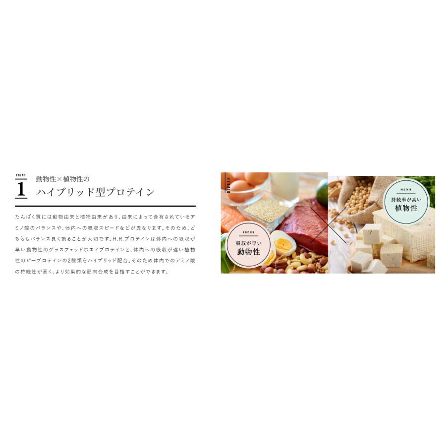 H.Rプロテイン 贅沢ベリー風味 500g 2袋セット 正規品 ワールド