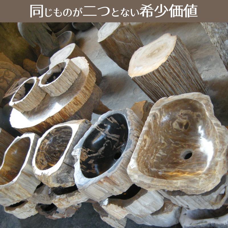 洗面ボウル 珪化木 Petri Fied Wood 木化石 天然石 インドネシア