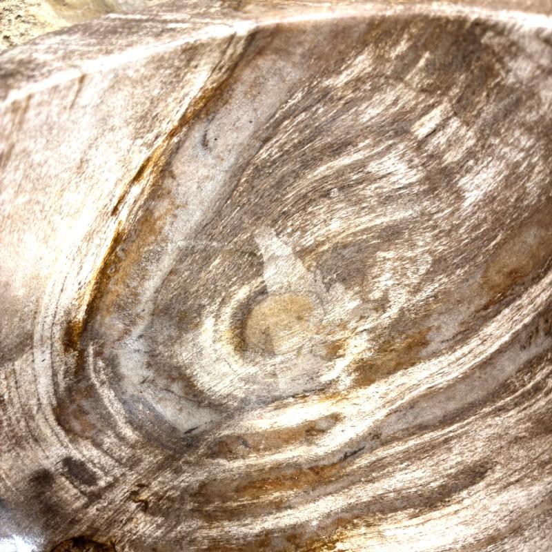 洗面ボウル 珪化木 Petri Fied Wood 木化石 天然石 ウリン チーク