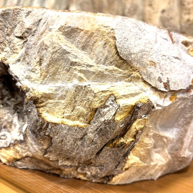 洗面ボウル 珪化木 Petri Fied Wood 木化石 天然石 ウリン チーク