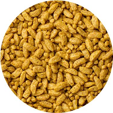 感謝の声続々！ Mazuri マズリ スモールバードメンテナンス インコ