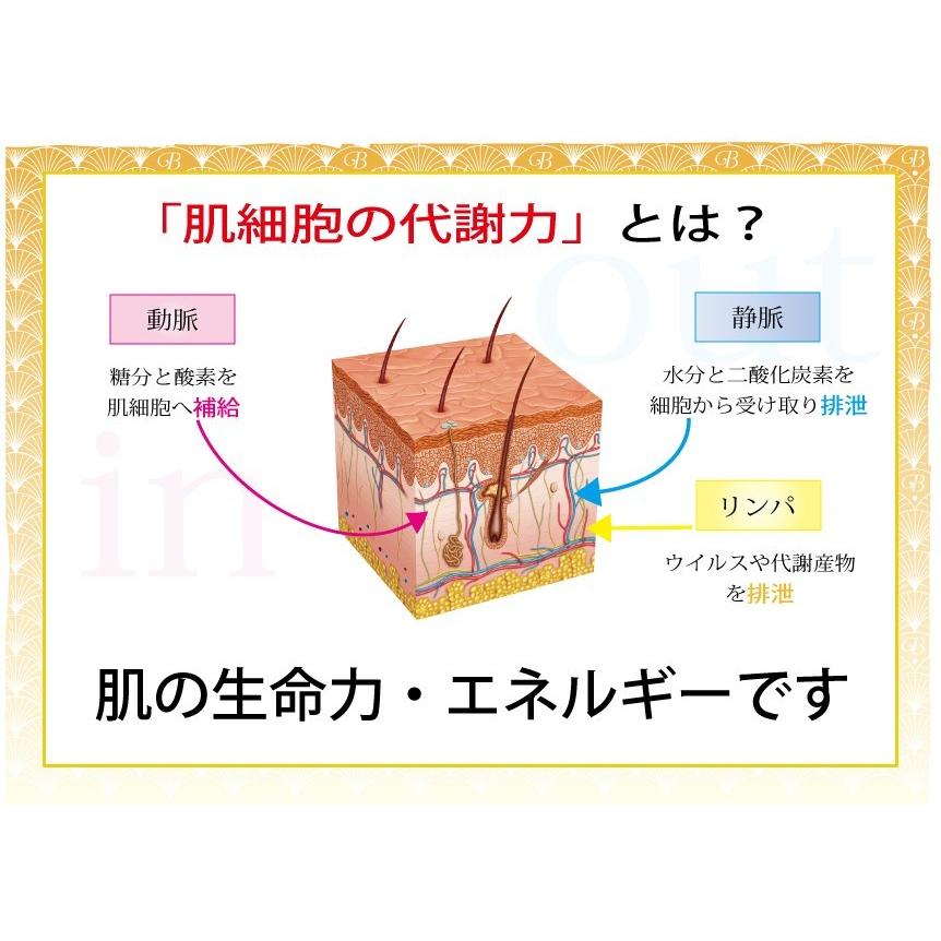 BDOT　セット ホームエステ化粧品 美容オイル 基礎化粧品 |  | 03