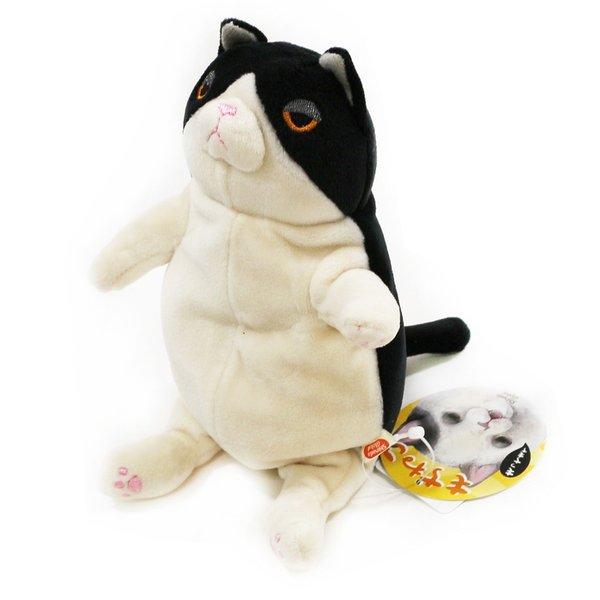 もちねこ ダリル(ハチワレ) Sサイズ 新日本プロレス NJPW 高橋ヒロム