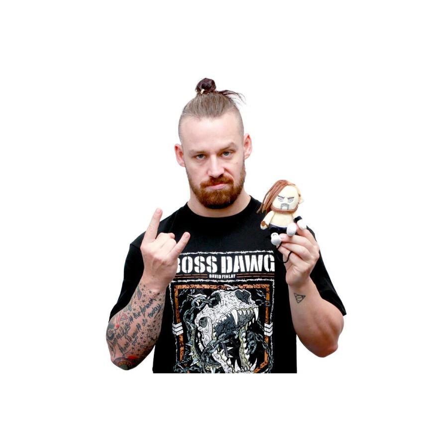 ぴょんすけ デビッド・フィンレー 新日本プロレス NJPW |  | 05