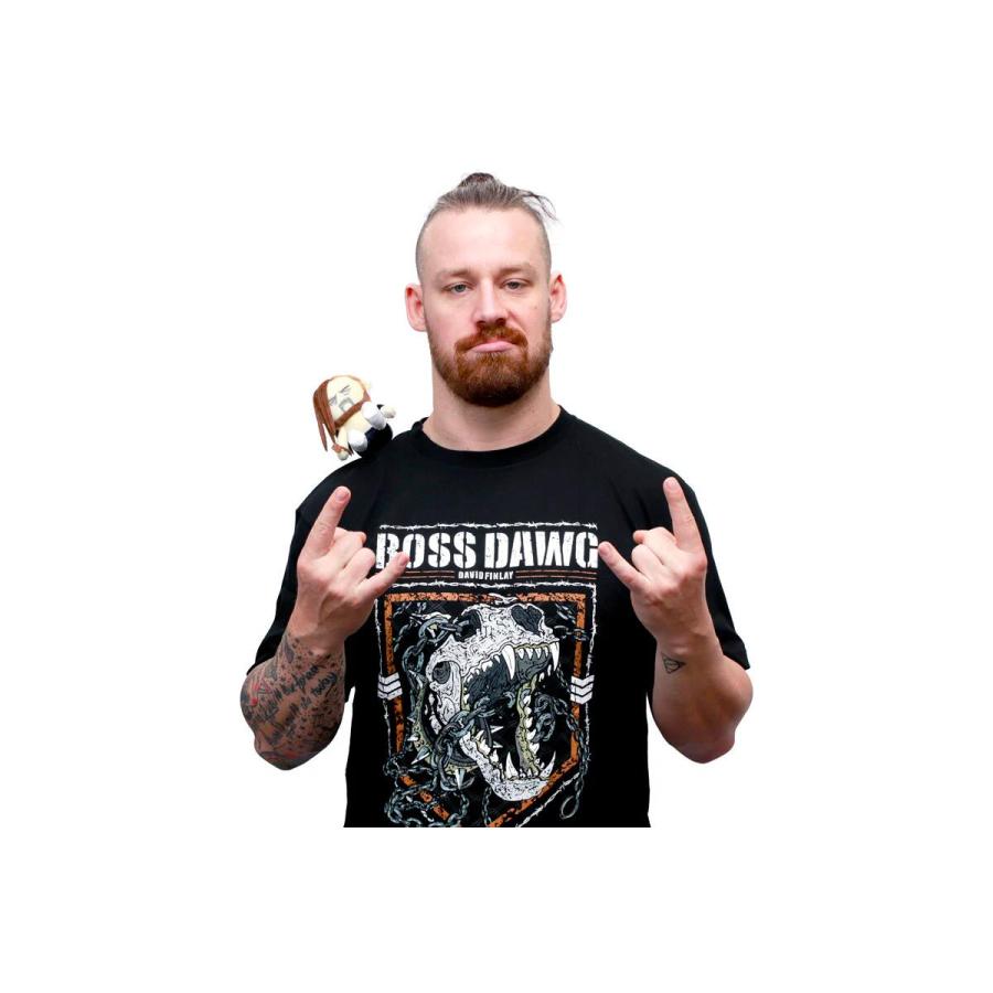 ぴょんすけ デビッド・フィンレー 新日本プロレス NJPW |  | 06