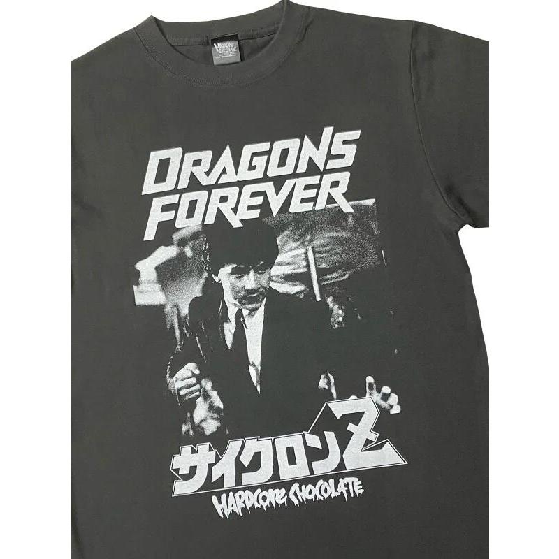 STRIFE バンドTシャツ XL ハードコアTシャツ本掲載デザイン STRIFE バンドTシャツ XL ハードコアTシャツ本掲載デザイン | T
