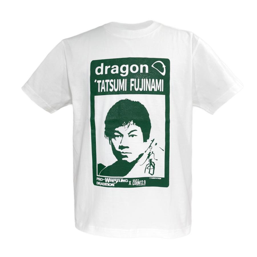 限定 東レ バウオ ブリッツェン ドラゴン Tシャツ サイズL DRAGON 藤波辰爾 x Count2.9 コラボ Tシャツ(ホワイト/グリーン) 新