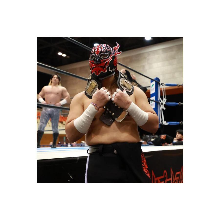 ライオンマーク Tシャツ（ブラック×レッド）新日本プロレス NJPW
