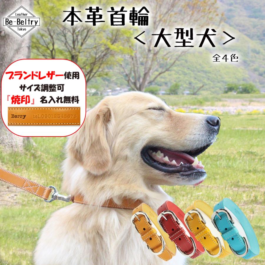 首輪 犬 本革 大型犬 幅24mm 赤 青 黄 キャメル色 首回り〜60cm対応