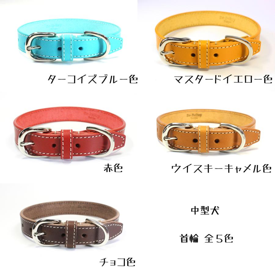 犬 首輪 レザー 本革 中型犬 幅21mm 赤 青 黄 キャメル色 首回り 犬 首輪 レザー 本革 中型犬 幅21mm 赤 青 黄 キャメル色 首回り