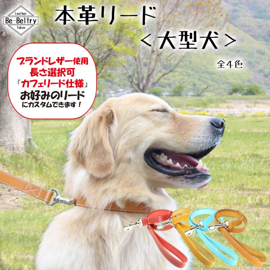 本革 レザーリード 大型犬 幅25mm 赤 青 黄 キャメル色 長さ選択可 80cm 130cmまで 高級ヌメ革 送料無料 Ri Do Oogata Ta Koizu 1 Be Beltry 通販 Yahoo ショッピング